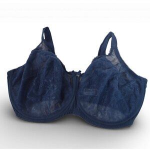 Wacoal Retro Chic Lace Bra 855186 Blue Sheer Underwire 38G